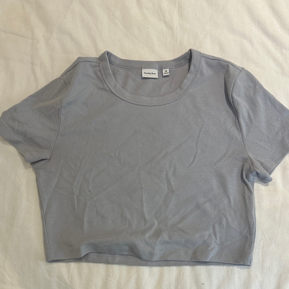 Aritzia Sunday Best Light Gray Short Sleeve Tee